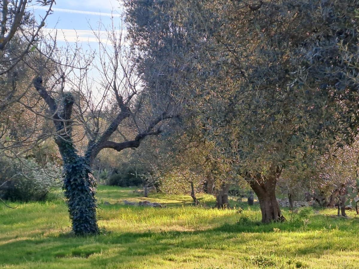 Casa Baronessa Villa Kellie Messapica Kültér fotó